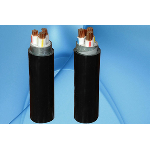 CVV/DATA − 0,6/1 KV & CVV/DSTA − 0,6/1 KV