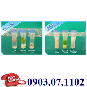 Máy Nghiền Đồng Hóa Vi Sinh BEADBUG 3 Hãng Benchmark Scientific / Mỹ