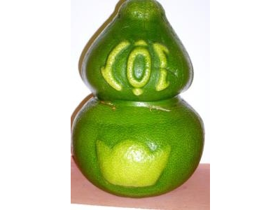 Đặc sản Tết tiền triệu