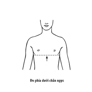 Đai chống gù Orbe