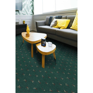 Thảm trải sàn cuộn hoạ tiết sợi vòng Polypropylene HCO-MILANO HNO