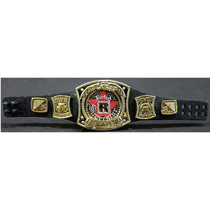 ĐAI MÔ HÌNH WWE CHAMPION SPINNER RATED R SUPERSTAR EDGE (ELITE)