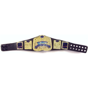 ĐAI MÔ HÌNH WWE CLASSIC SMACKDOWN TAG TEAM CHAMPION (ELITE)