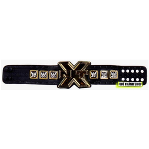 ĐAI MÔ HÌNH WWE NXT CHAMPION ELITE (PHIÊN BẢN ĐẦU TIÊN)