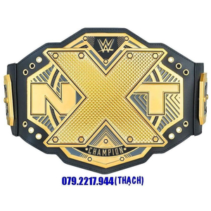 ĐAI NXT CHAMPION (DÀNH CHO ĐỘ TUỔI: 8 ĐẾN 15 TUỔI - CHIỀU CAO ≤ 1m7)