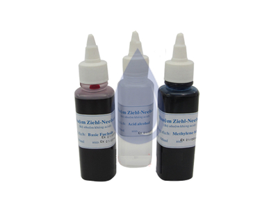 Bộ nhuộm BK Đàm ZIEHL-Neelsen (Thuốc nhuộm trực khuẩn lao Ziehl Neelsen)