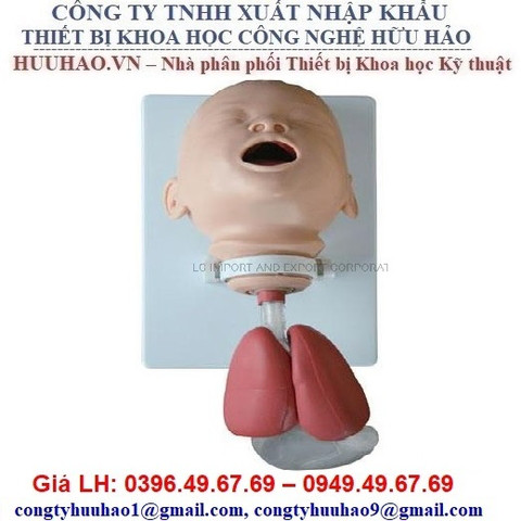 Mô hình đặt nội khí quản trẻ em