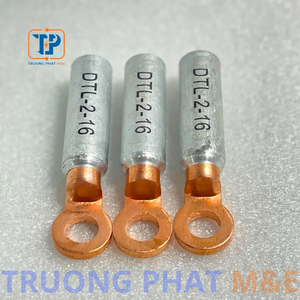 Introduction to DTL-2-16 Copper