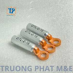 Introduction to DTL-2-16 Copper