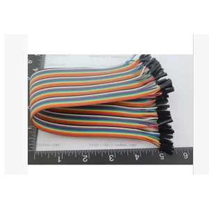 Dây cắm 2 đầu cái - cái 20 sợi dài 30cm