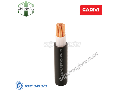 Dây cáp điện 1 lõi Cadivi CXV-10 mm2 – 0.6/1kV Cu/XLPE/PVC - 56002137