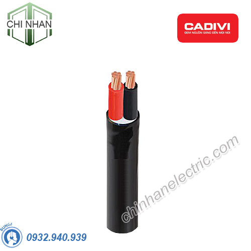Dây cáp điện 2 lõi Cadivi CVV-2X10 mm2 – 0.6/1kV Cu/PVC/PVC