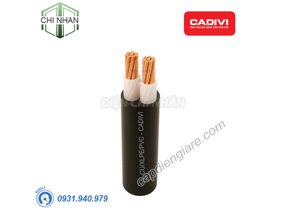 Dây cáp điện 2 lõi Cadivi CXV-2x185 mm2 – 0.6/1kV Cu/XLPE/PVC - 56002196