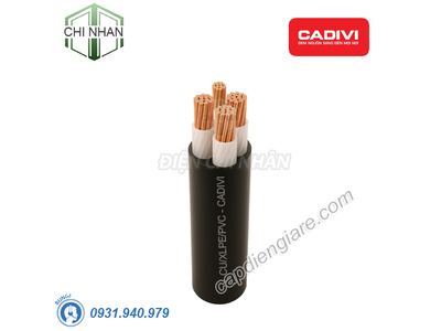 Dây cáp điện 3+1 lõi Cadivi CXV 3x4+1x2.5 mm2 – 0.6/1kV Cu/XLPE/PVC - 56001845