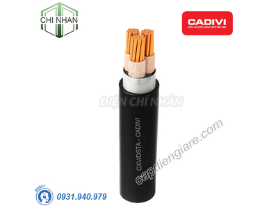 Dây Cáp Ngầm Cadivi 3 Lõi CXV/DSTA 3x95mm2 – 0.6/1kV Cu/XLPE/DSTA/PVC (ruột đồng, cách điện XLPE, giáp băng thép bảo vệ, vỏ bọc PVC) - 56002471