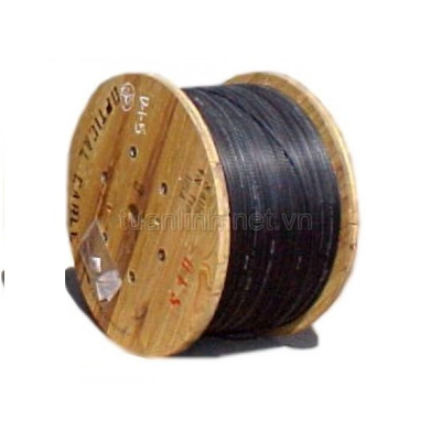 Dây cáp quang 2 core (FO) FTTH