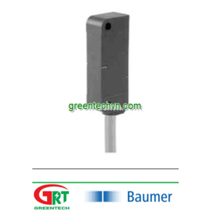10G2124/N100 | Magnetic sensors | Cảm biến từ tính | Baumer Vietnam
