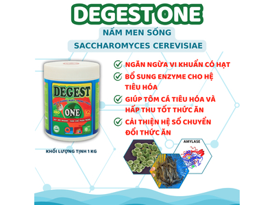DEGEST ONE