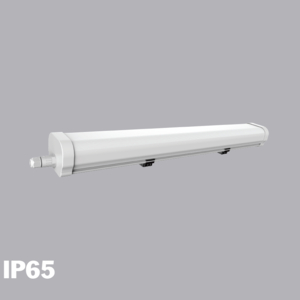 Đèn chống thấm 40W LWP2