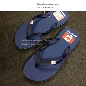 dép đi biển db03