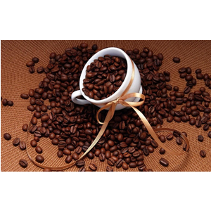 Địa chỉ cung cấp cafe hạt uy tín nhất Việt Nam