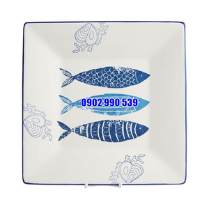ĐĨA MARITIME VUÔNG