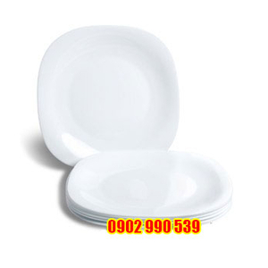 ĐĨA VUÔNG THỦY TINH