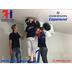 Dịch vụ bảo trì, bảo dưỡng, vệ sinh kho cấp đông sầu riêng