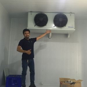 Dịch vụ vệ sinh, bảo dưỡng, bảo trì kho lạnh sầu riêng