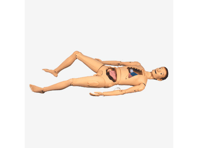 Mô hình điều dưỡng cơ bản