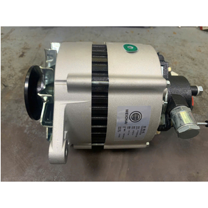 ĐINAMÔ (MÁY PHÁT ĐIỆN 1002090198A) OLLIN-500.E4/720.E4