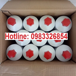 Mỡ DIVINOL LITHOGREASE 00