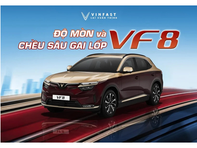 Độ mòn và chiều sâu gai lốp VF 8