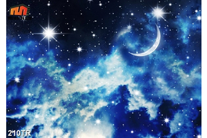 Đơn vị chuyên lắp đặt trần xuyên sáng quận Tân Bình uy tín chất lượng