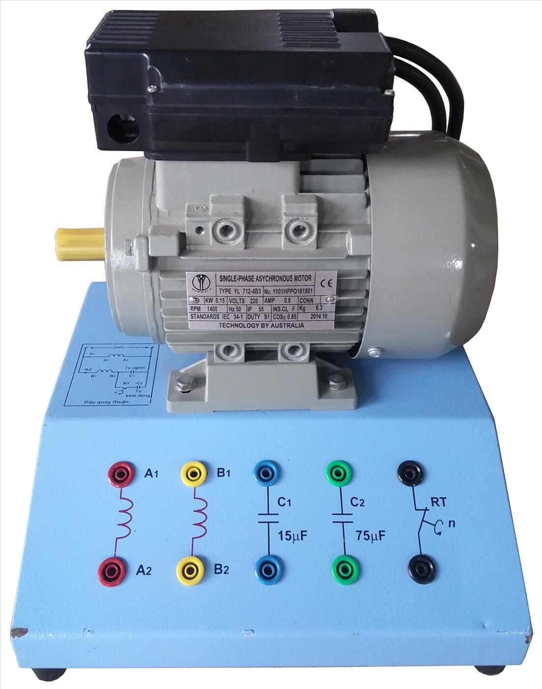 Động cơ không đồng bộ 3 pha roto lồng sóc