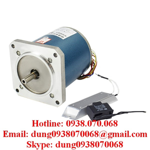 Động cơ sàng biền 130TDY060-130TDY4-130TDY115