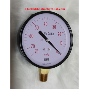 Đồng hồ áp suất P110 100A -76cmHg~0K