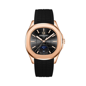 ĐỒNG HỒ CARNIVAL AQUANUS 8113G-VH-DCS-D