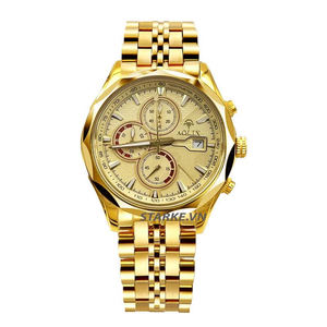 Đồng Hồ Nam AOLIX AL7048G.GGJ