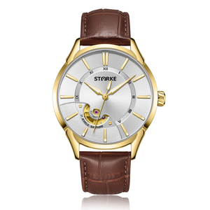 Đồng Hồ Nam SK143BM.GYW