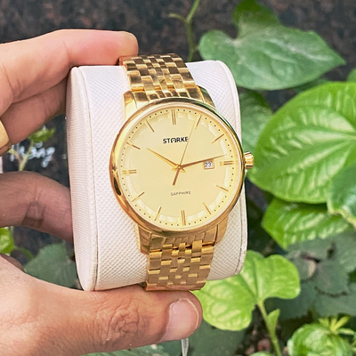 ĐỒNG HỒ NAM STARKE SK029AL .MKV