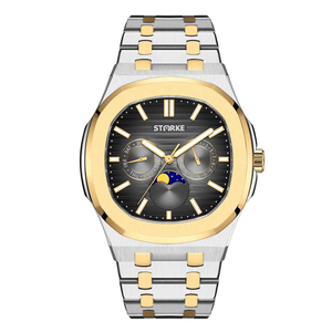 Đồng hồ nam STARKE SK167AM-AAB