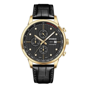 Đồng Hồ Nam STARKE SK195PM.GBB