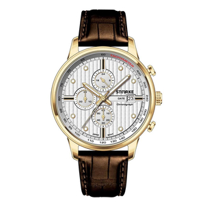 Đồng Hồ Nam STARKE SK195PM.GYW