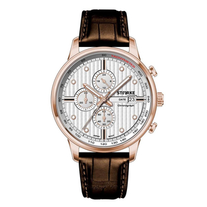 Đồng Hồ Nam STARKE SK195PM.RYW