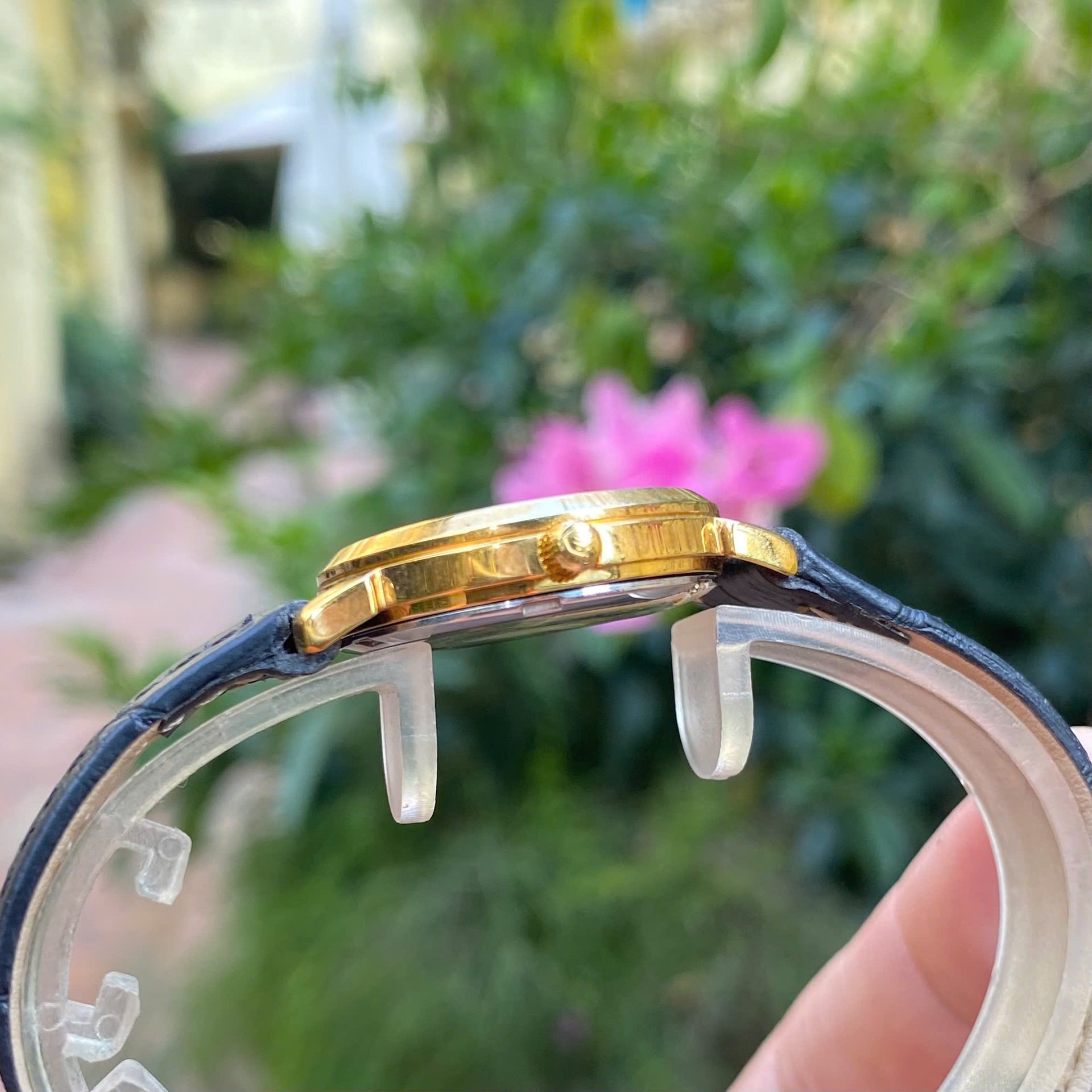 ĐỒNG HỒ NỮ OLYM PIANUS OP130-03LK-T