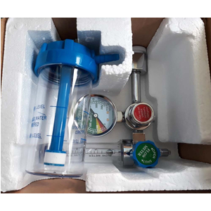 Đồng hồ oxy PA DY-C3