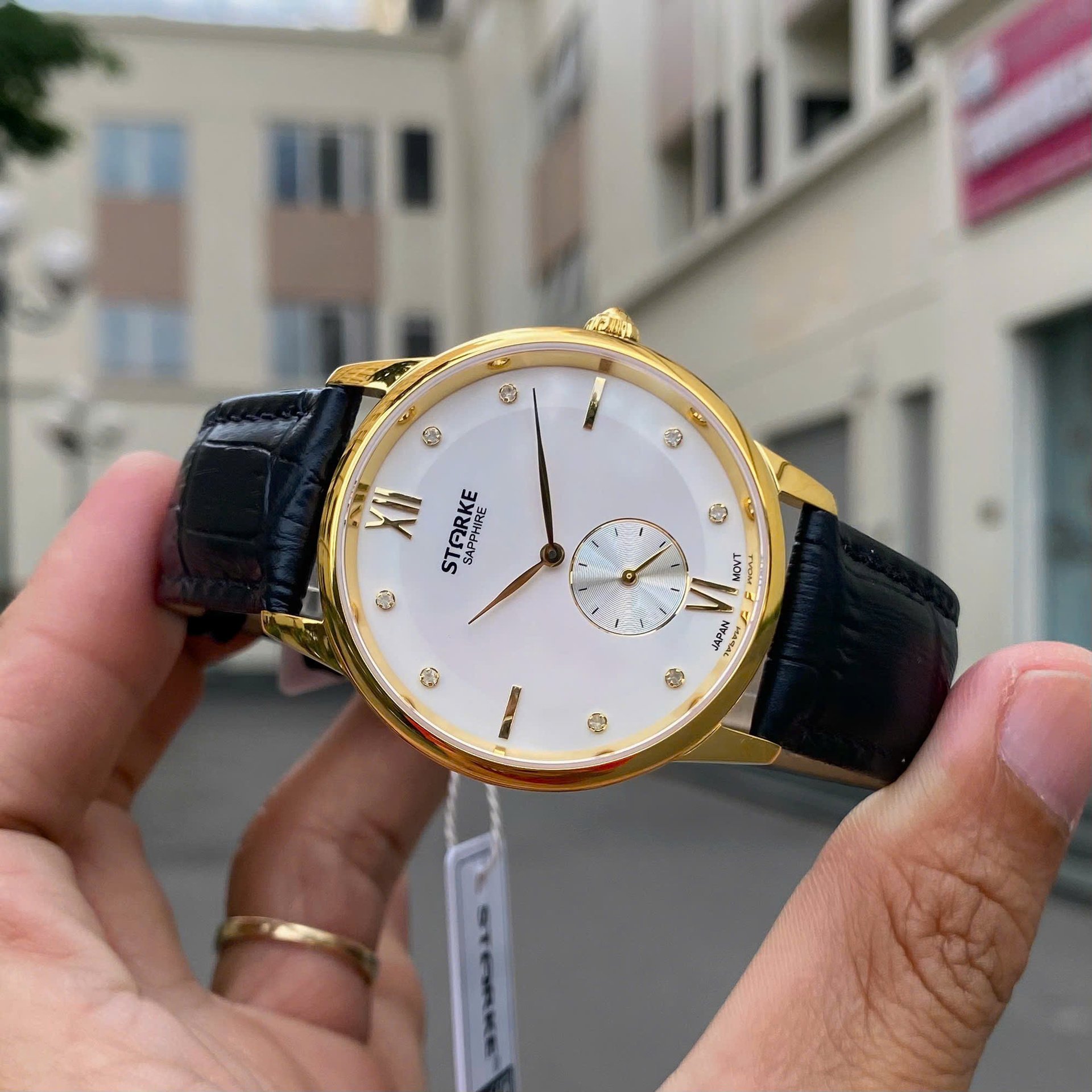 Đồng hồ nam STARKE SK012PM | KT
