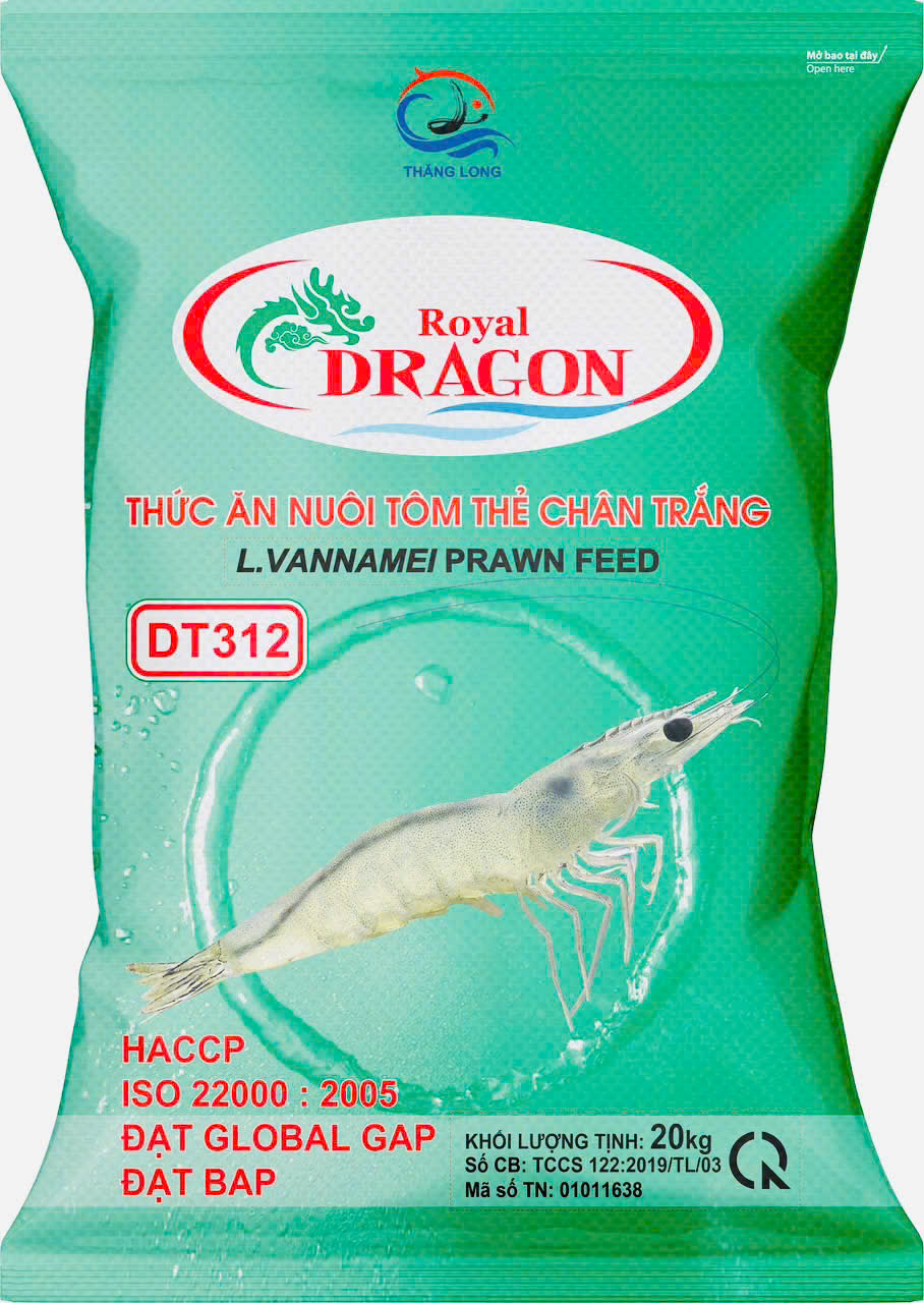 DRAGON DT312 - BAO 20KG