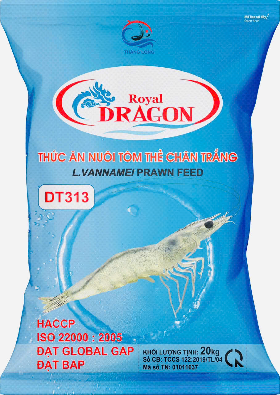 DRAGON DT313